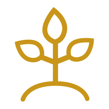 Icon Würde