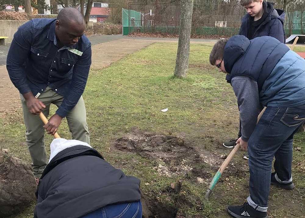 Baumpflanzung1k Ein Baum wird gepflanzt
