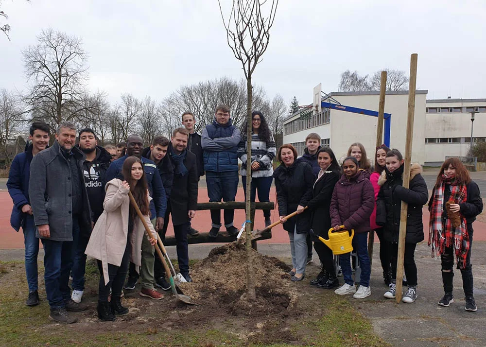 kirschbaum1k Hier wurde zum Projektabschluss ein Kirschbaum gepflanzt.