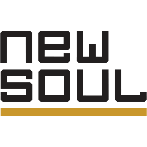 thenewsoul.de